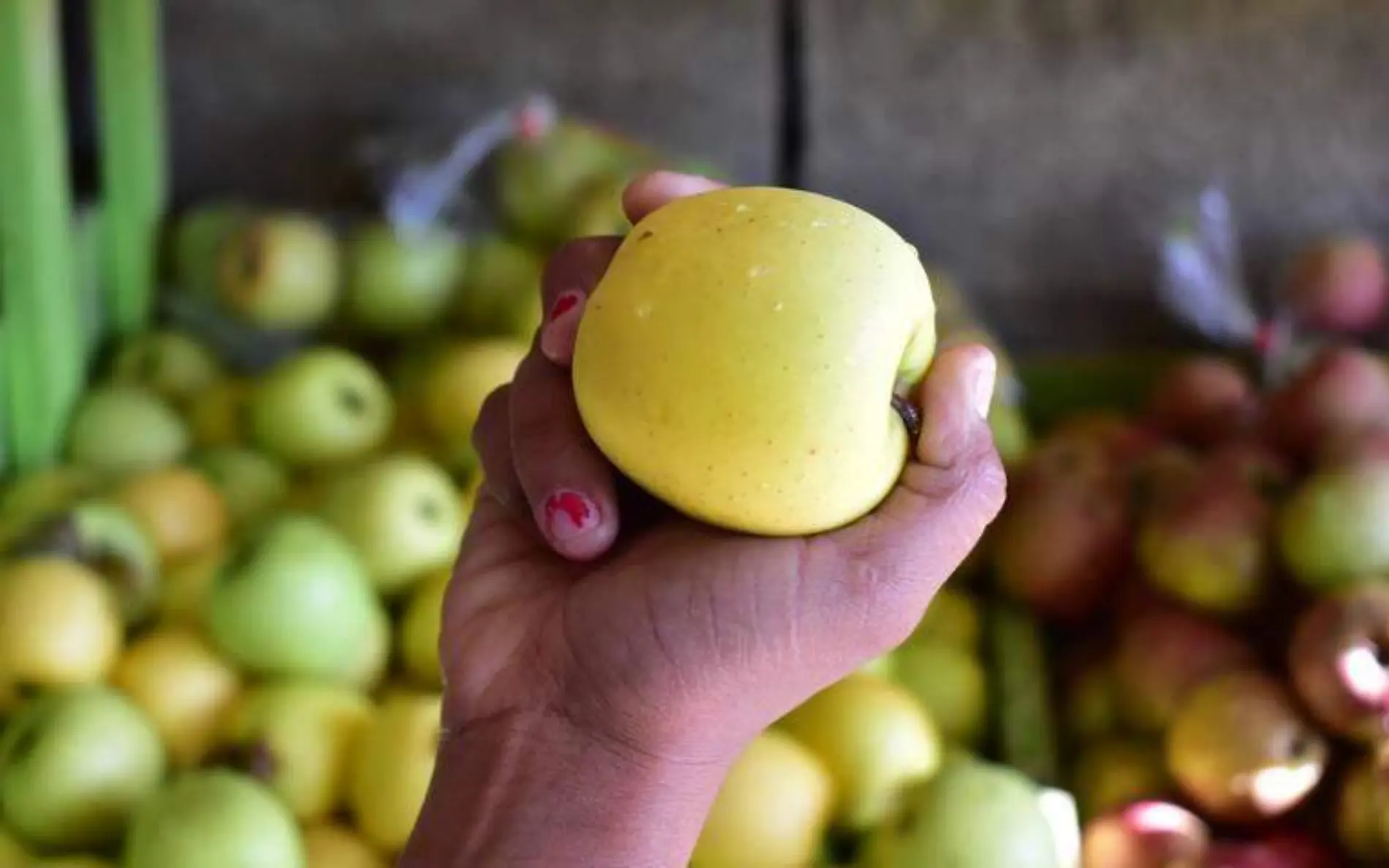 fruta, esencial al iniciar el día